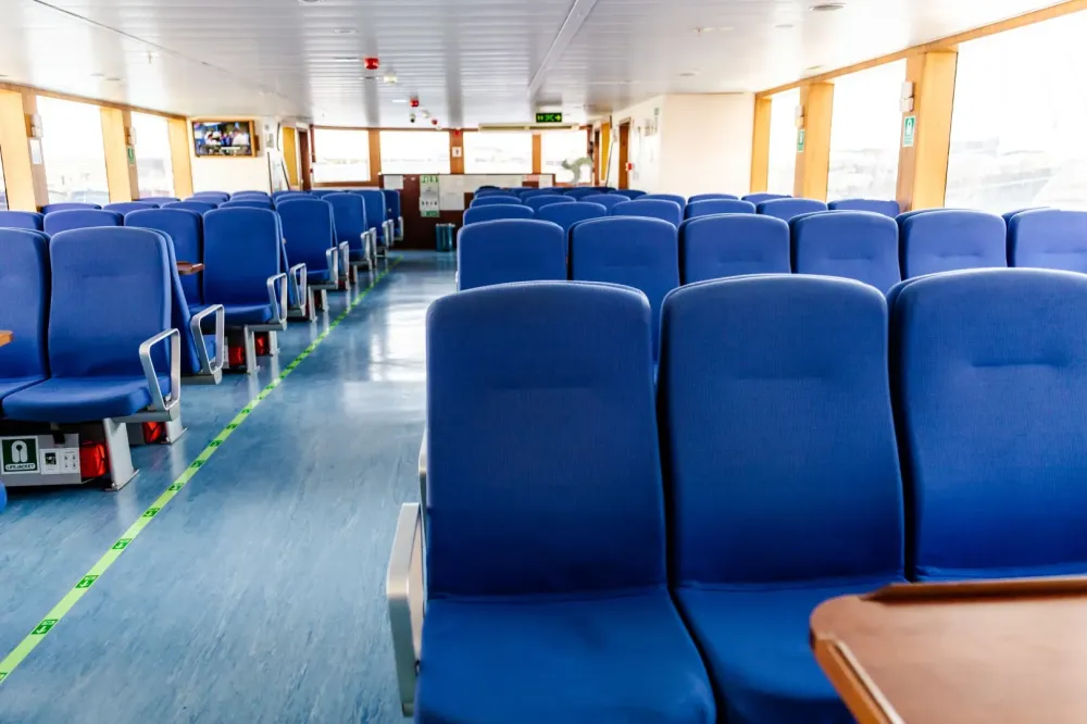 Sellerie bateau près de Contres